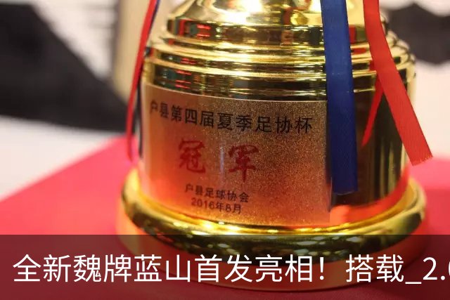 全新魏牌蓝山首发亮相！搭载 2.0T 发动机，预计将于年内完成上市
