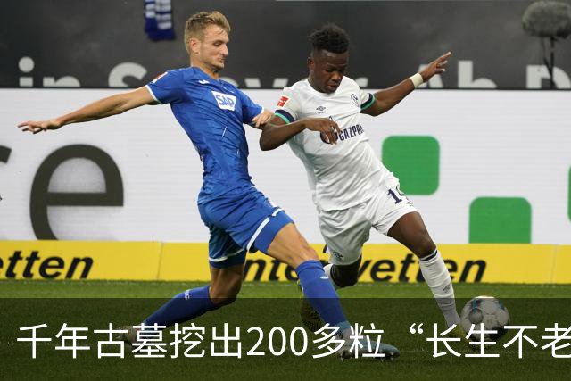 千年古墓挖出200多粒“长生不老仙丹”，化验结果令专家震惊