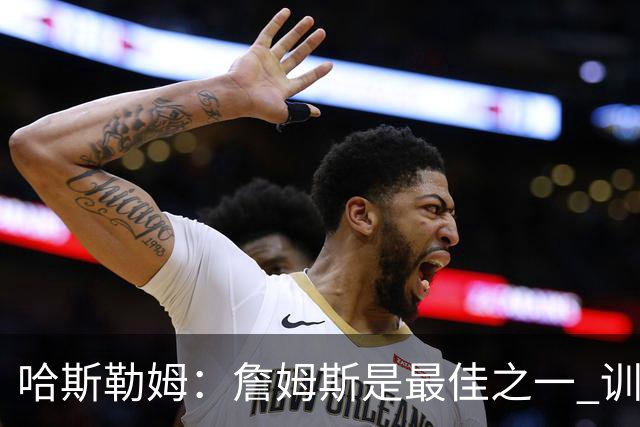 哈斯勒姆：詹姆斯是最佳之一 训练中他能让全队包括韦德都看呆