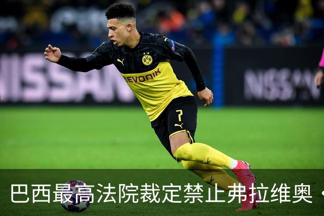 巴西最高法院裁定禁止弗拉维奥·博索纳罗离境