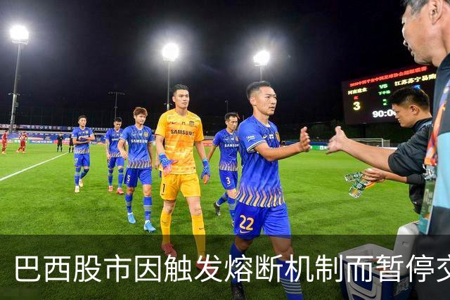 巴西股市因触发熔断机制而暂停交易