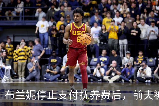 布兰妮停止支付抚养费后，前夫被曝欠债还不上账单
