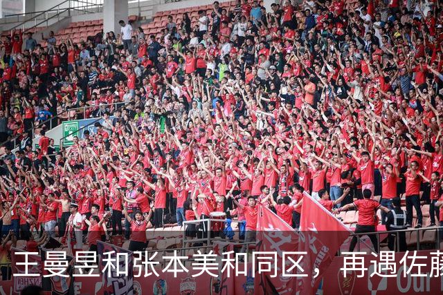 王曼昱和张本美和同区，再遇佐藤瞳，孙颖莎和早田希娜同区