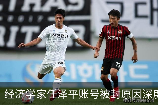 经济学家任泽平账号被封原因深度分析