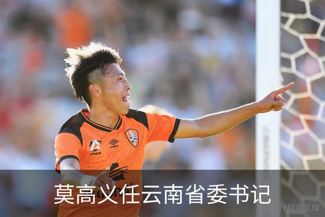 莫高义任云南省委书记