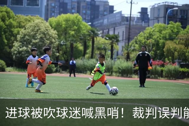 进球被吹球迷喊黑哨！裁判误判能起诉要求重赛吗？