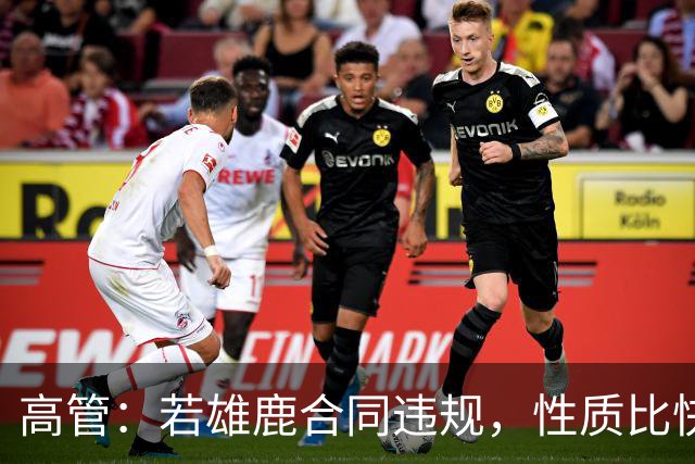 高管：若雄鹿合同违规，性质比快船更严重