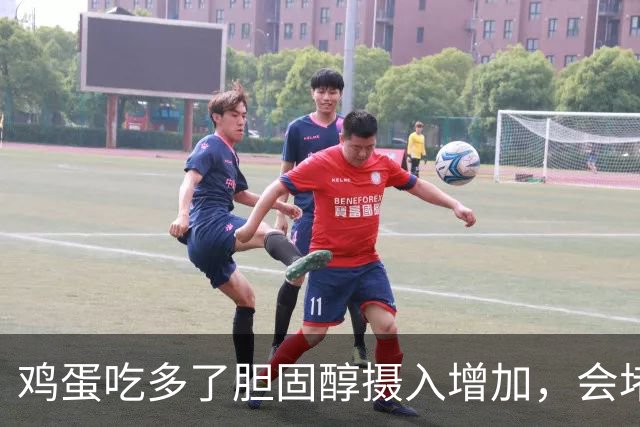 鸡蛋吃多了胆固醇摄入增加，会堵血管？本文说出实情