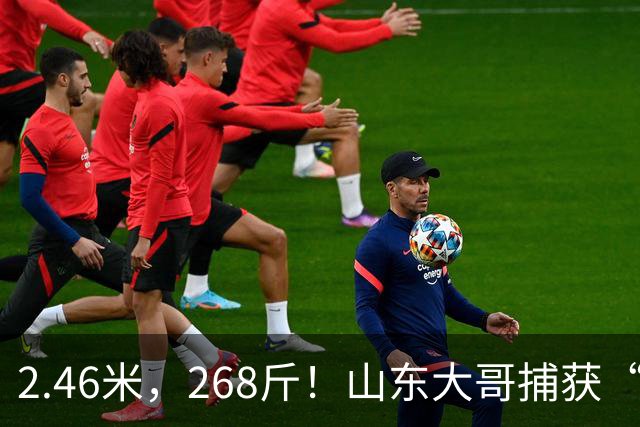 2.46米，268斤！山东大哥捕获“鲅鱼王”：常见鲅鱼仅几斤到十几斤，已被水产公司收购，将做成鲅鱼水饺