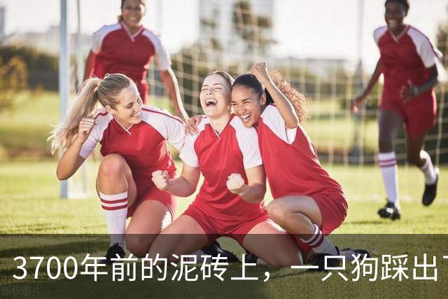 3700年前的泥砖上，一只狗踩出了它的"签名"