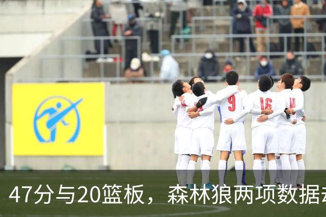 47分与20篮板，森林狼两项数据却换不来一场胜利